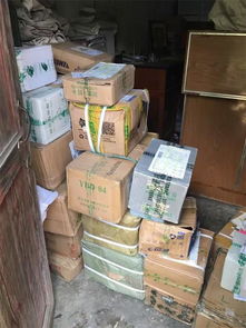 張金寶攜金財(cái)咨詢踐行社會(huì)責(zé)任，共筑鄉(xiāng)村教育未來(lái)——記“鄉(xiāng)村學(xué)校圖書(shū)室手拉手行動(dòng)”